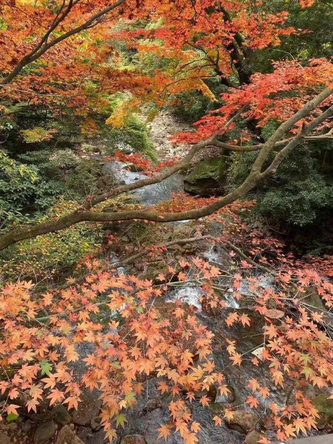 Hoshi No Sato Hotel Kirishima Bagian luar foto