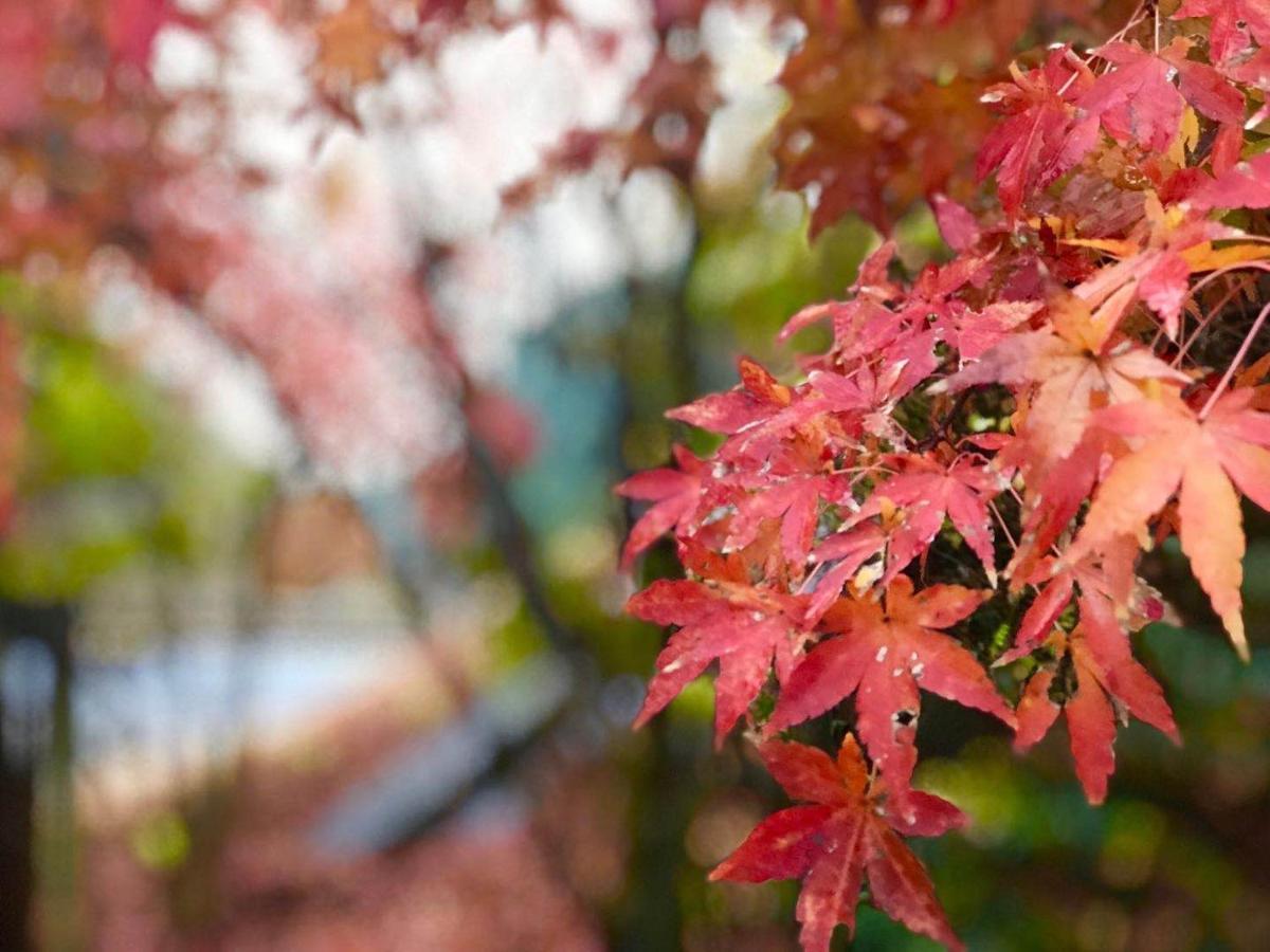 Hoshi No Sato Hotel Kirishima Bagian luar foto